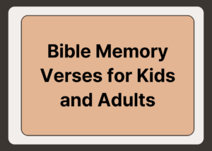 Bible for Kids and Adults